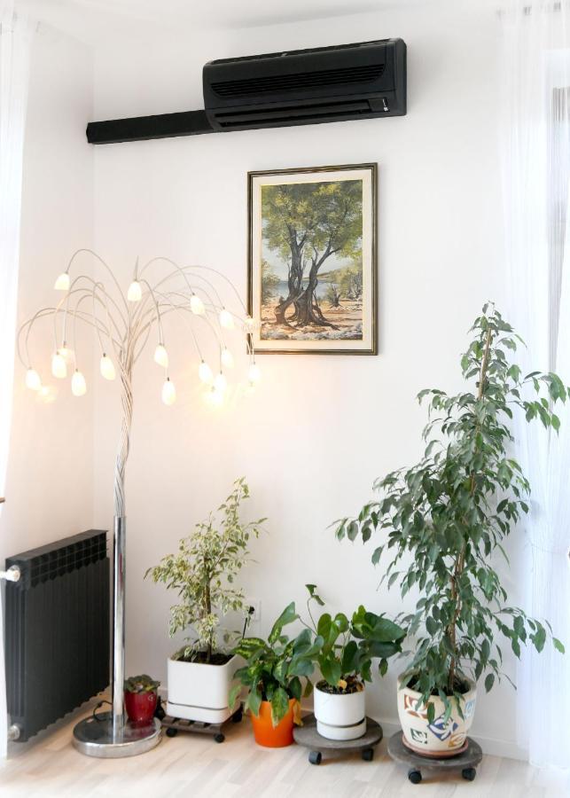 Divia Apartment Rijeka Eksteriør bilde